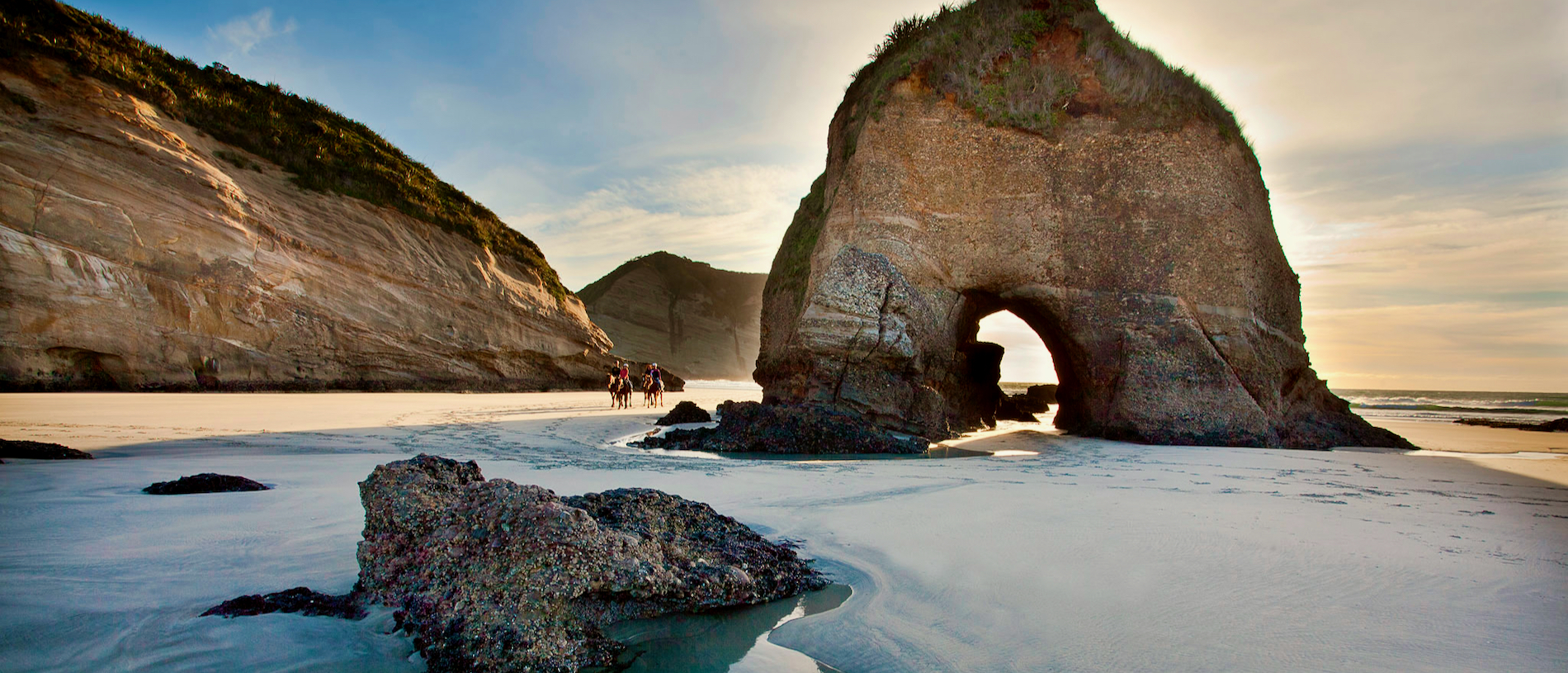 Discover the wild and windswept Wharariki Beach