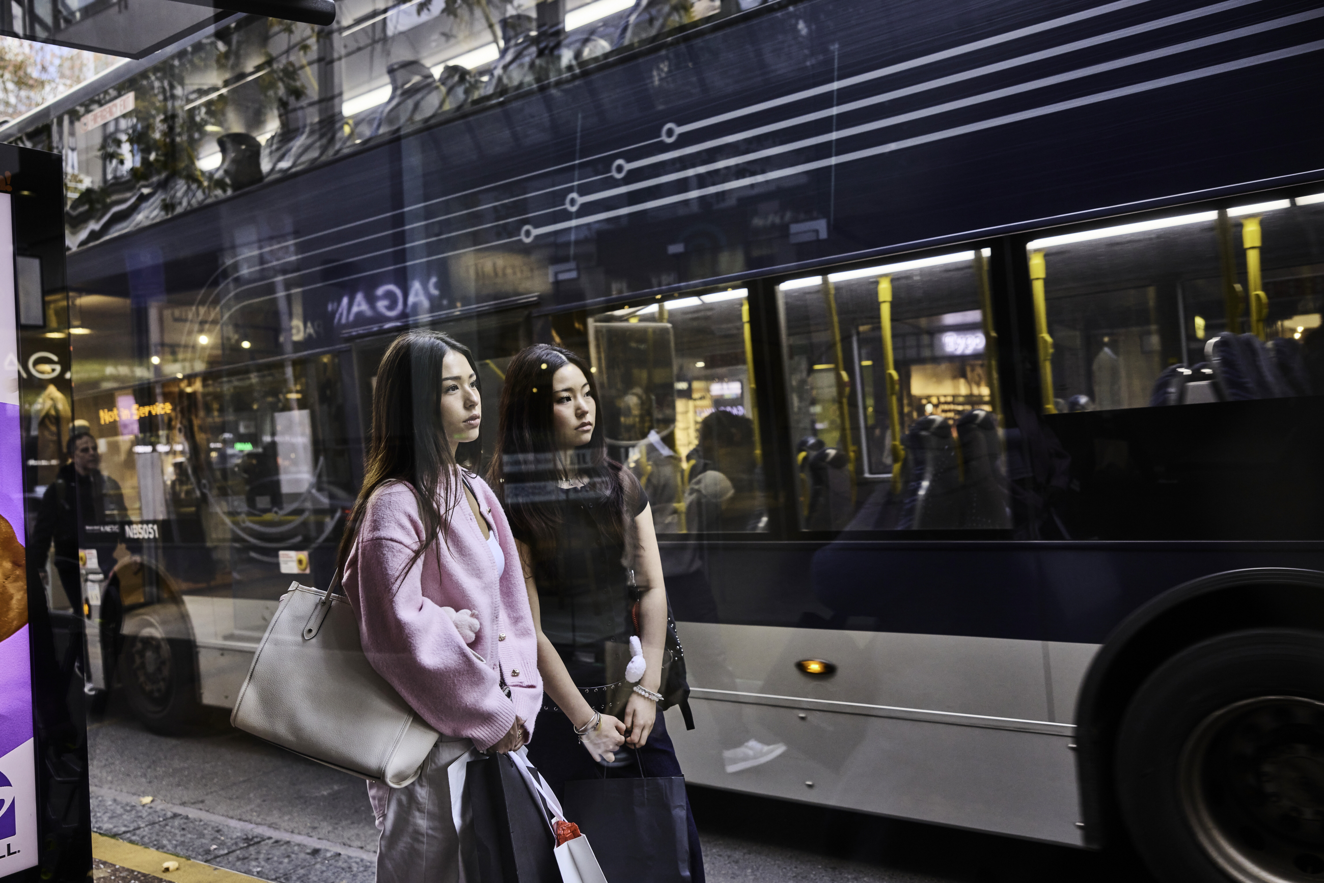 Look both ways before proceeding – AA’s advice to steer clear of driver licensing scams