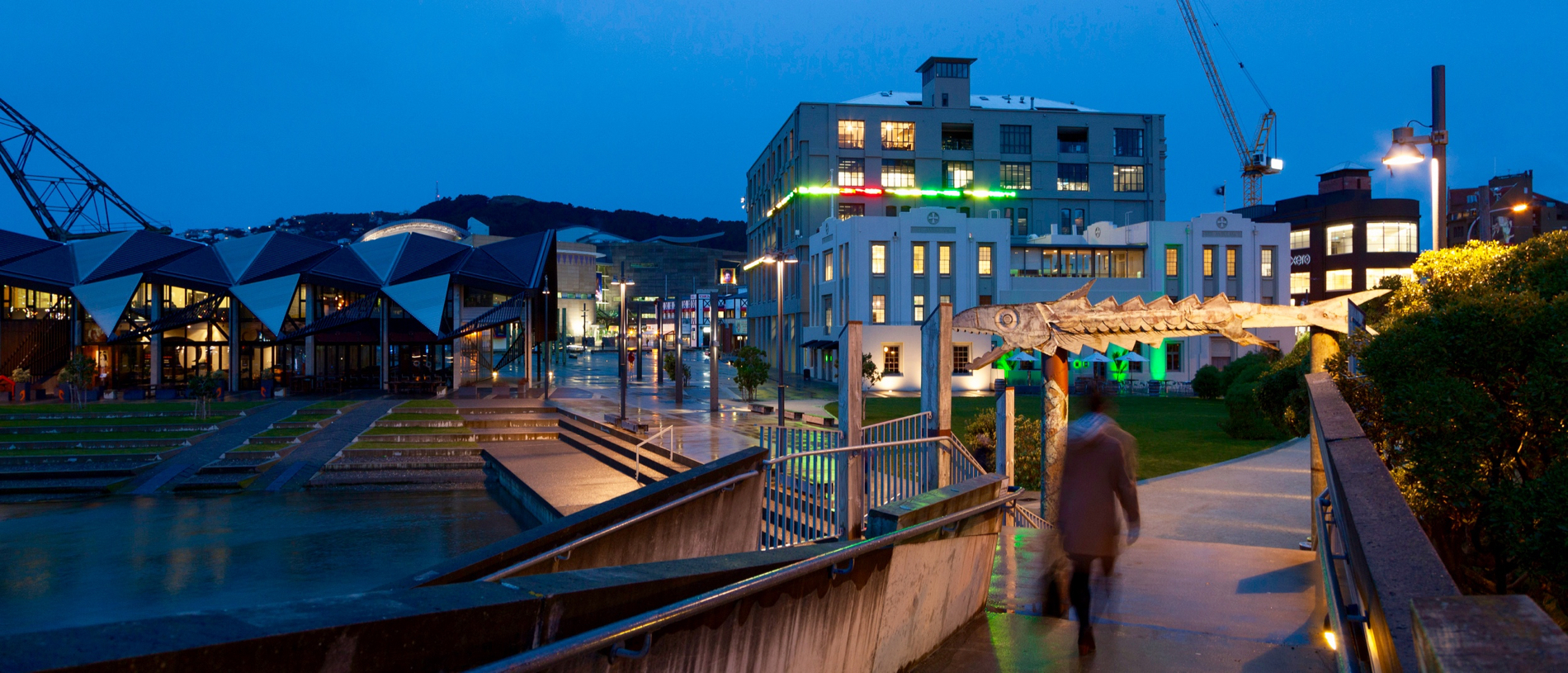 Your Kiwi winter survival guide