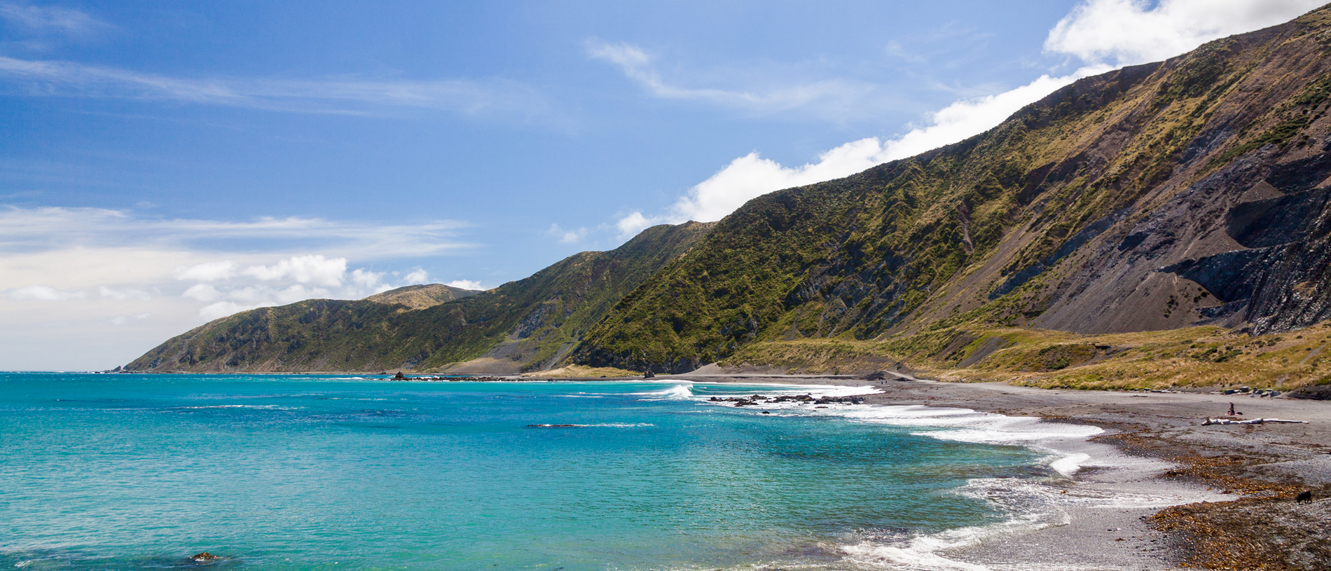 Taputeranga Marine Reserve