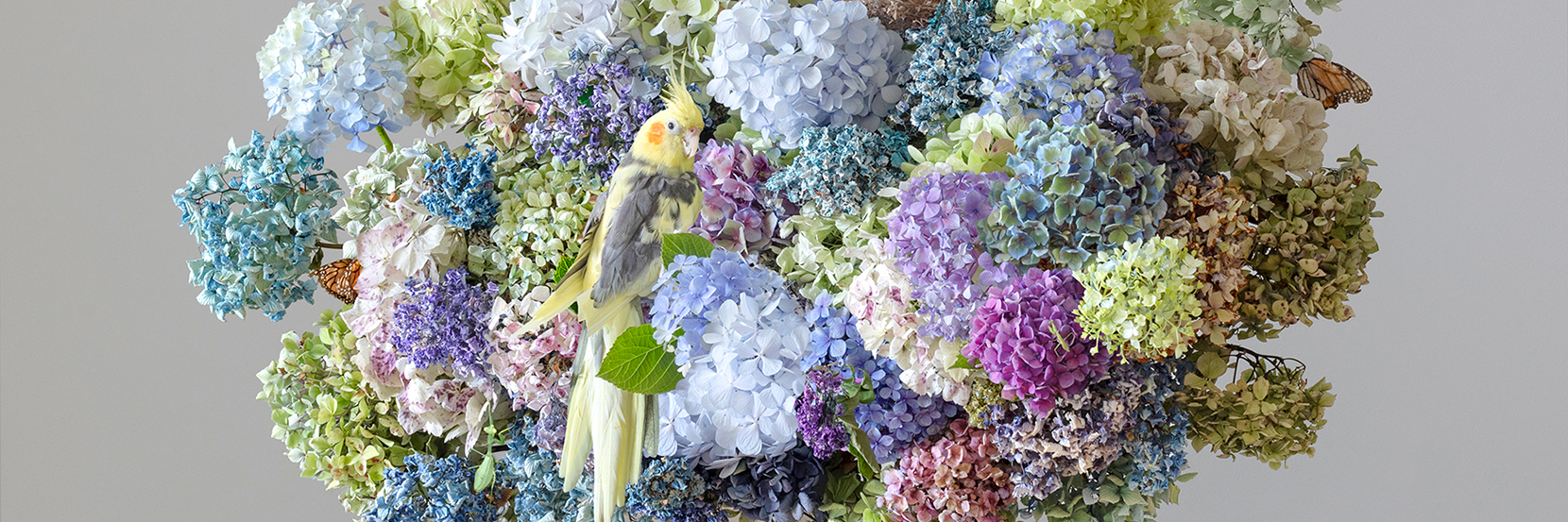 Beautiful floral artwork by Emma Bass.