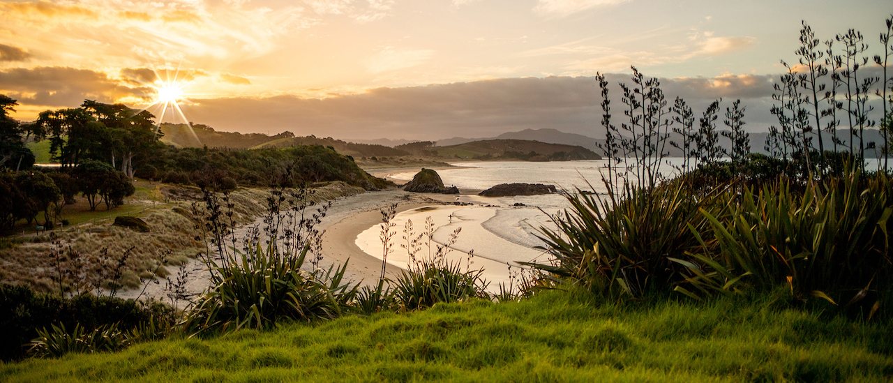Tāwharanui kiwi tour