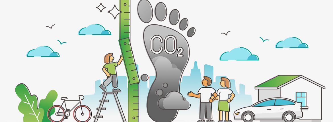 Paying the price: carbon credits