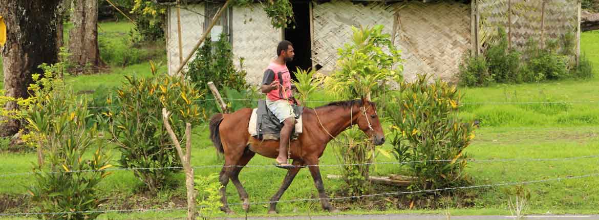 Fiji: Life in contrast