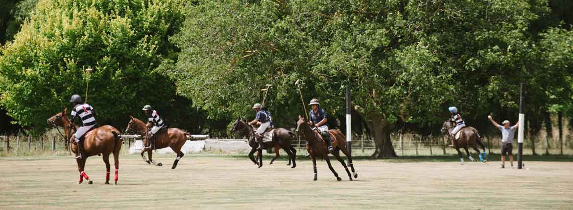 Down at the polo club