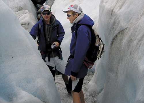 Into The Wild West - Franz Josef Glacier