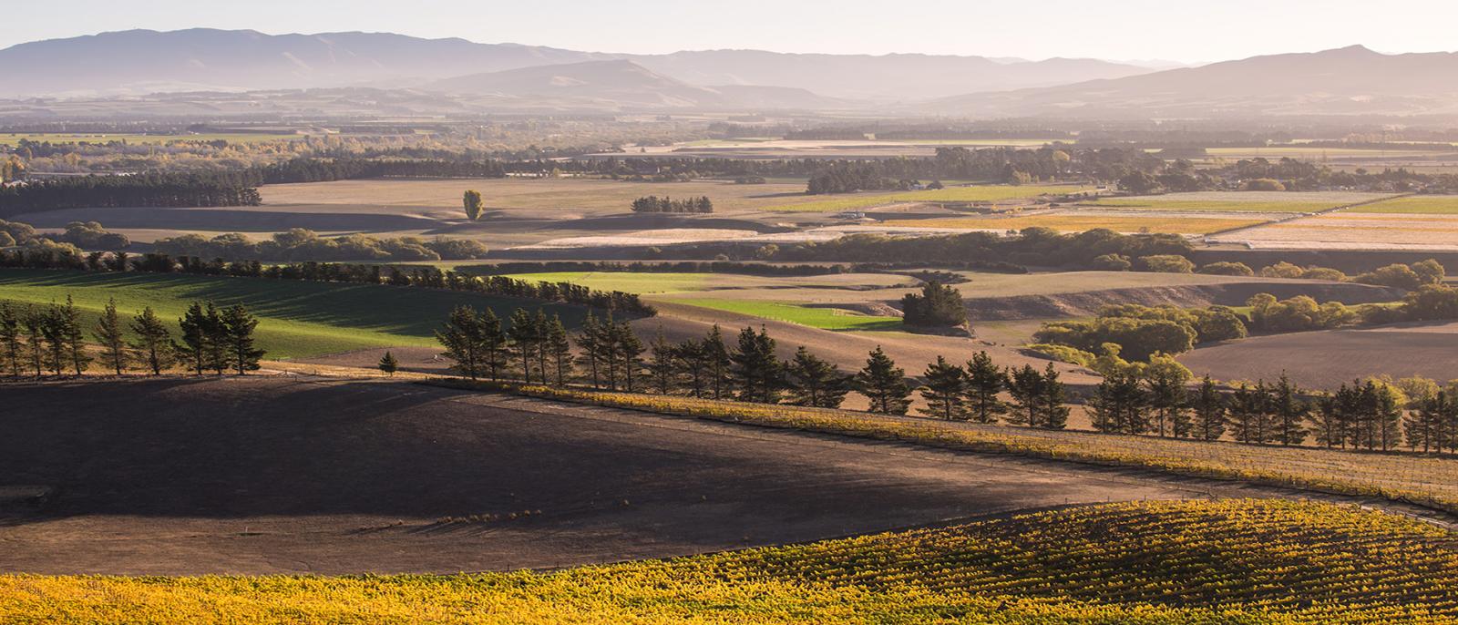 Hurunui: pinot and adventure sports