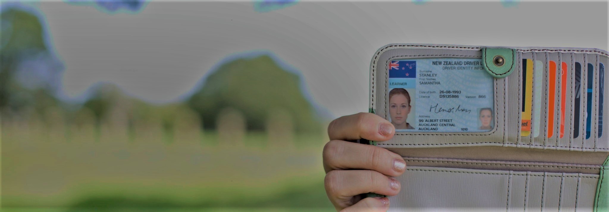 A hand holding a driver license inside a grey wallet facing the camera