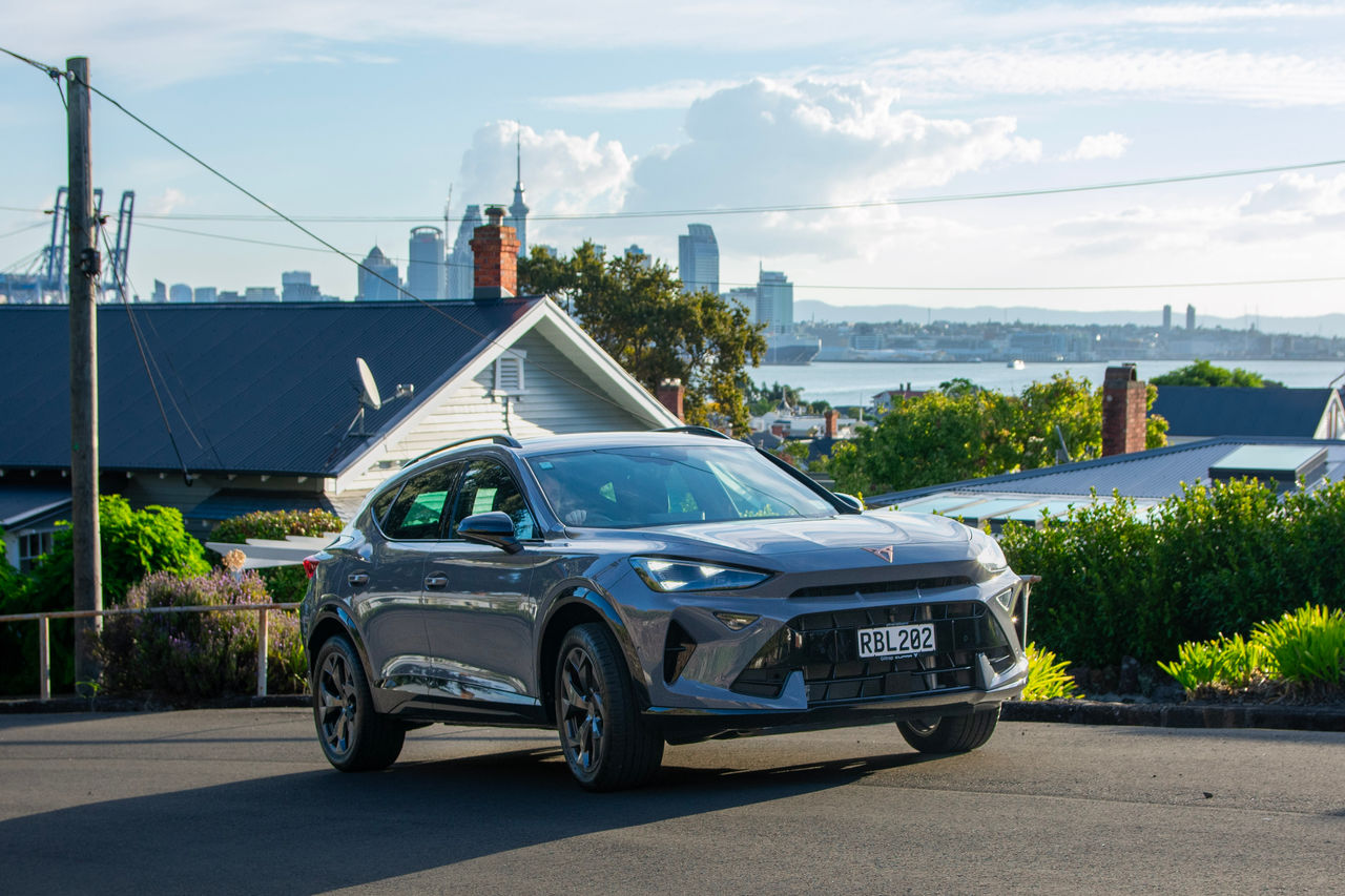 Grey Formentor with view of Auckland skyline in the foreground