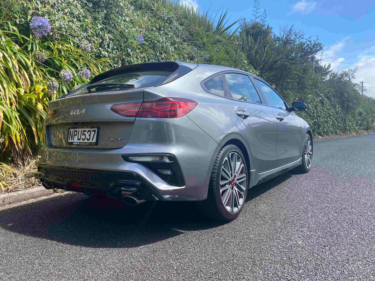 cerato intext1