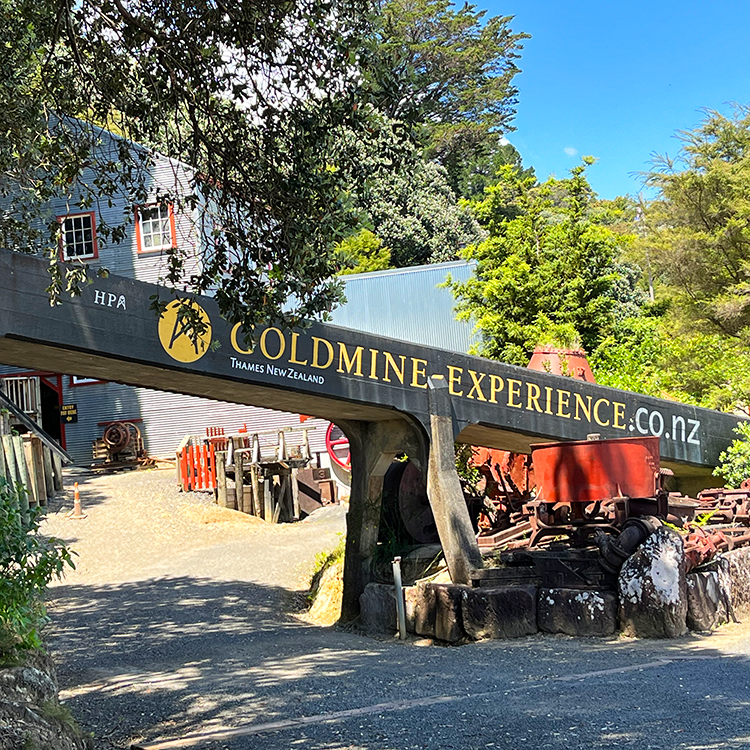 Thames Goldmine Experience