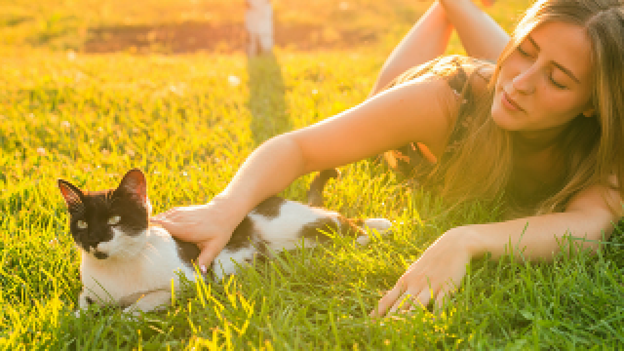A girl lying on the grass petting her black and white cat