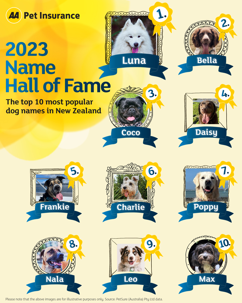 2023 Name Hall of Fame displaying top 10 most popular dog names in New Zealand