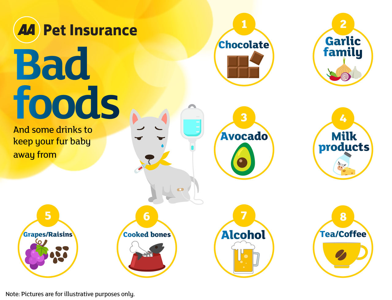 An illustration listing 6 bad foods dog cannot eat