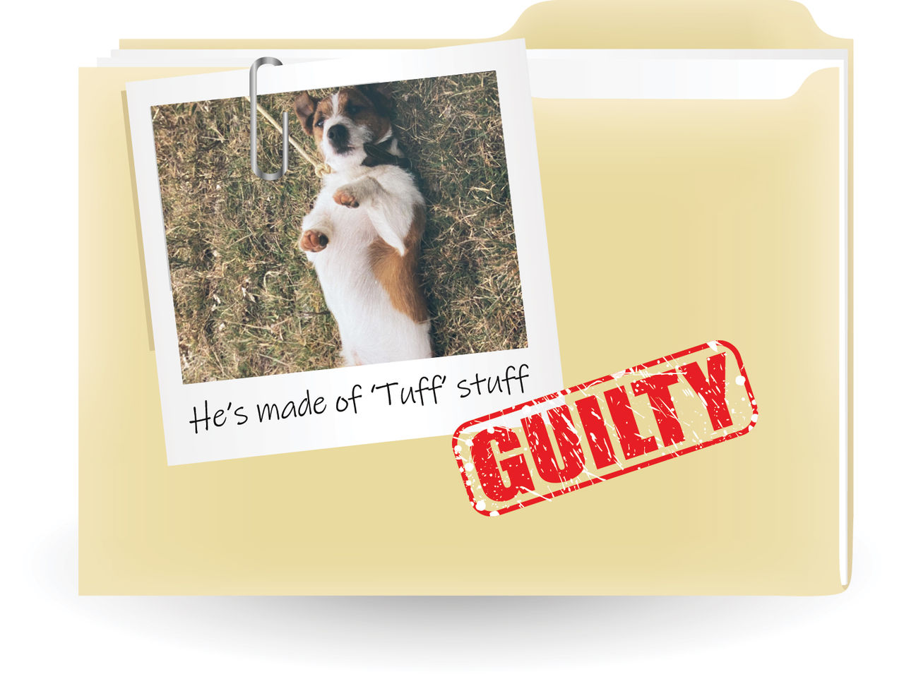 A beige folder with a polaroid style photo of Tuff and a red guilty stamp
