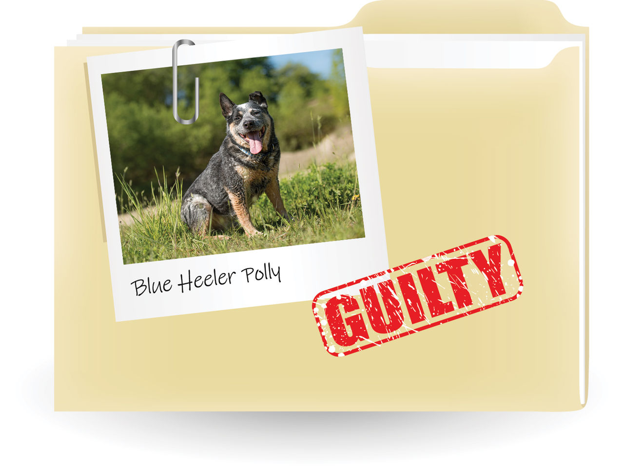 A beige folder with a polaroid style photo of Polly and a red guilty stamp
