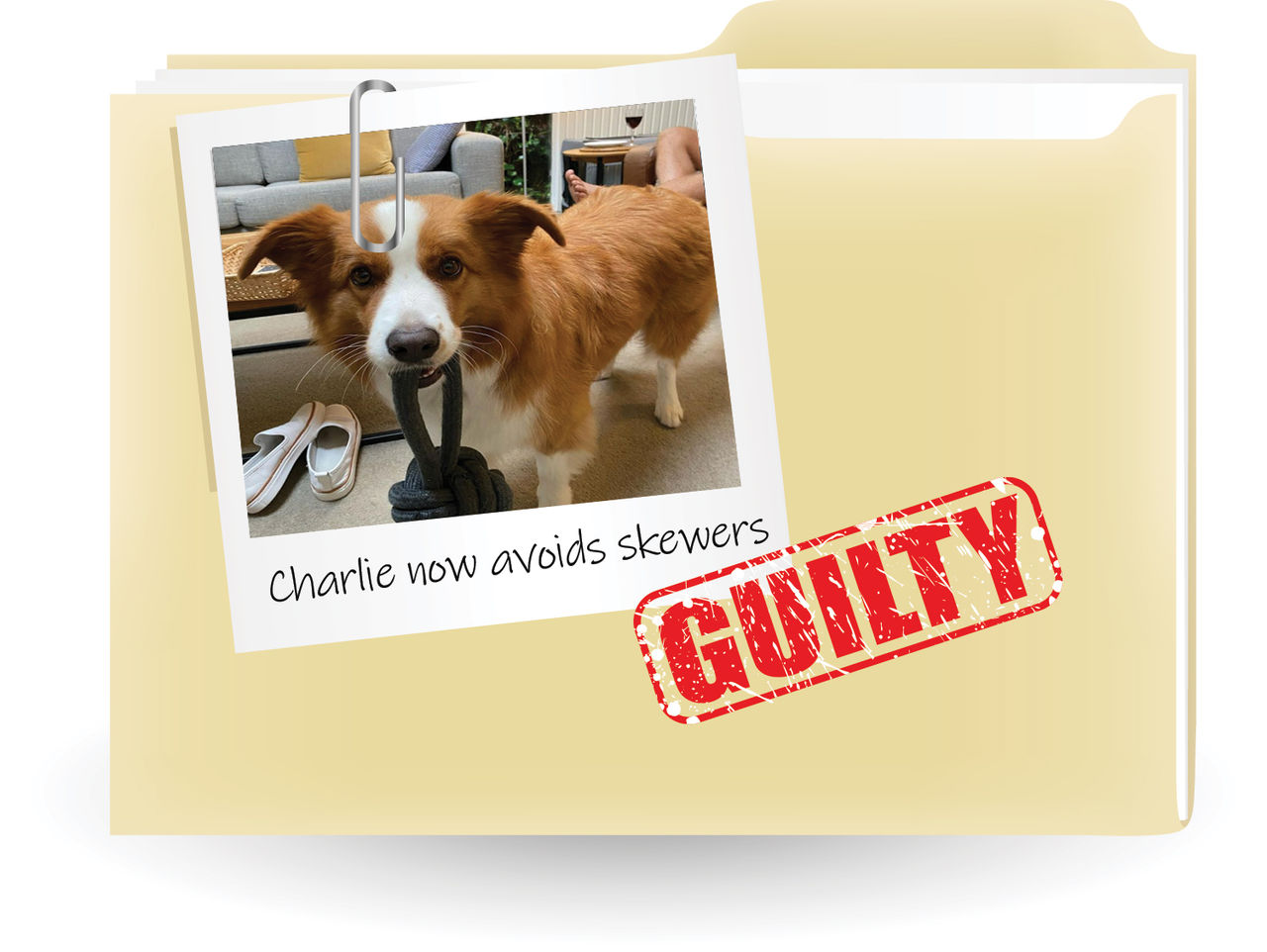 A beige folder with a polaroid style photo of Charlie and a red guilty stamp