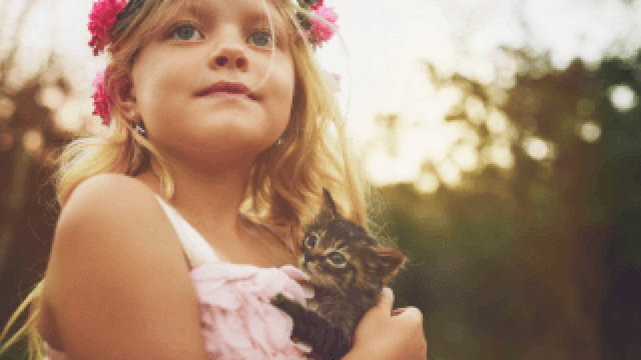 A girl wearing a flower crown and holding a kitten