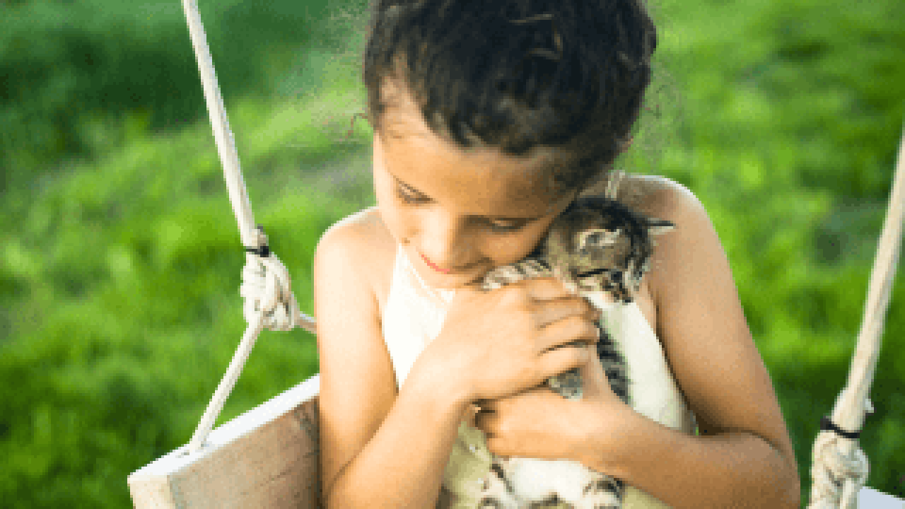 A girl hugging a kitten while sitting on a swing