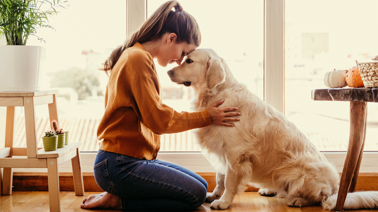 A woman hugging her golden retriever dog 