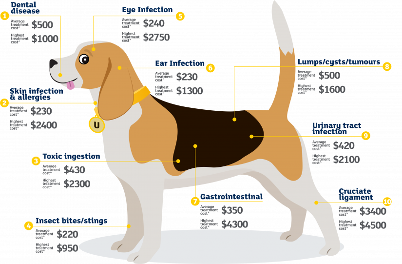 Illustration of Dog with labels about common illnesses or accidents and their corresponding costs
