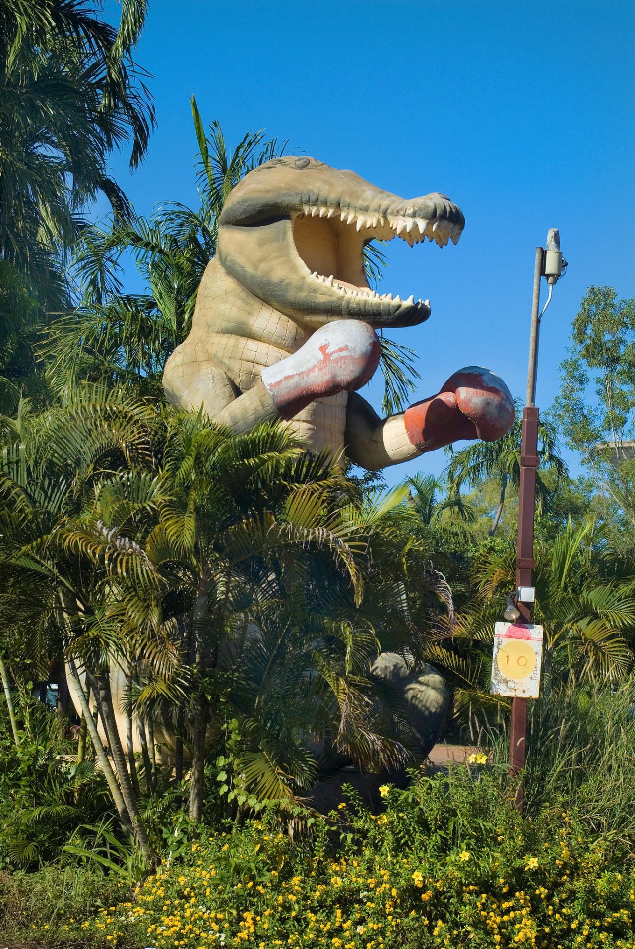 Big Boxing Croc, Humpty Doo