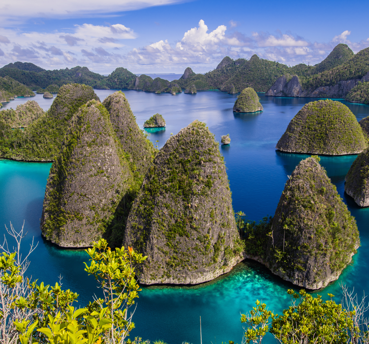 Raja Ampat
