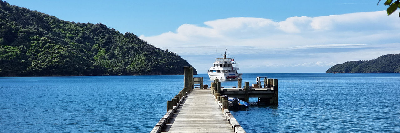 Marlborough Sounds cruise