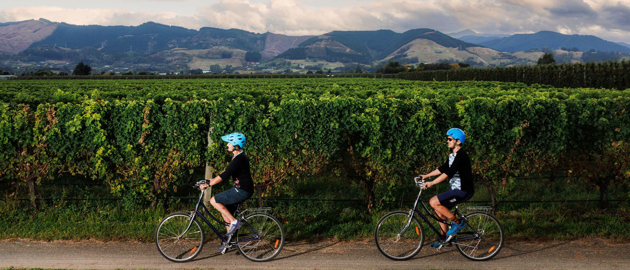 Cycling in the Tasman District