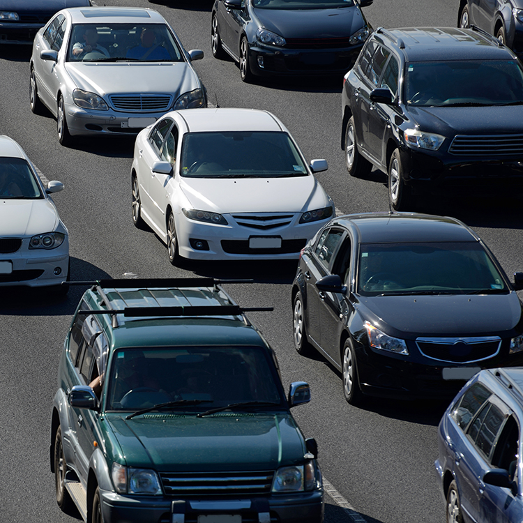 New Zealanders have a preference for personal vehicles powered by the internal combustion engine