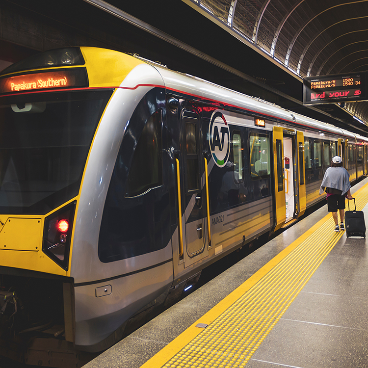 Public Transport was the most popular option after driving for shopping, recreation and social visits.
