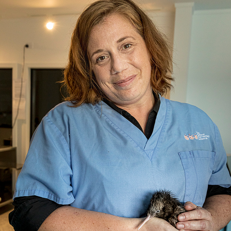  Emma Bean, National Kiwi Hatchery Manager with a kiwi chick. Photo by Mead Norton