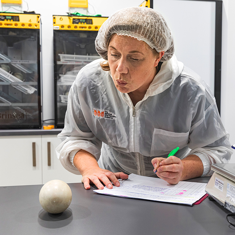  When Emma Bean whistles to a kiwi egg, the kiwi responds. Photo by Mead Norton.