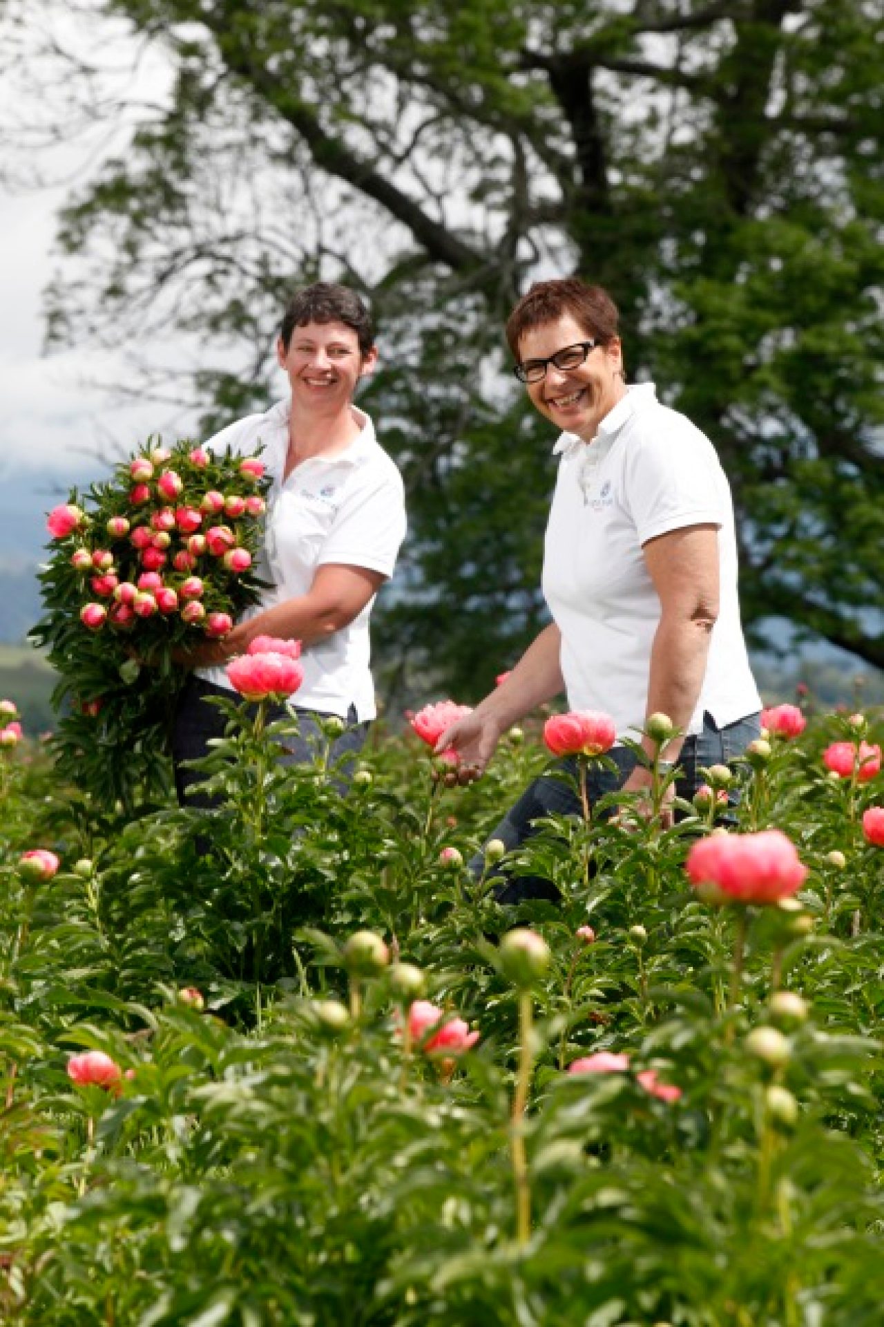 Picture by Tim Cuff - 10 November 2015 - Dot (with glasses) and Georgia of Dove River Peonies, Dovedale, Nelson, New Zealand: