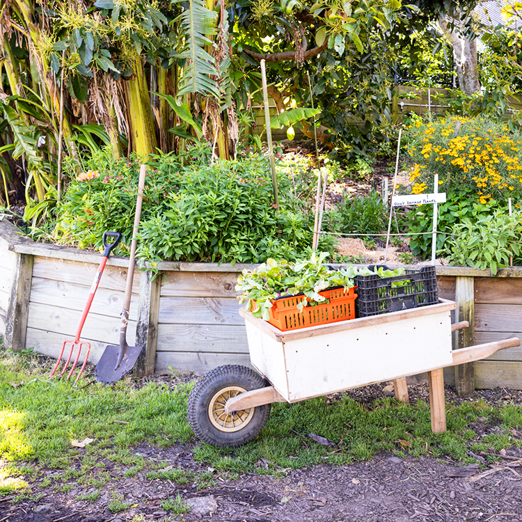 Kelmarna farm wheelbarrow INP