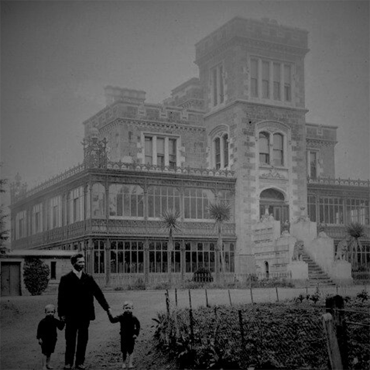  Twin boys photographed outside Larnach Castle.