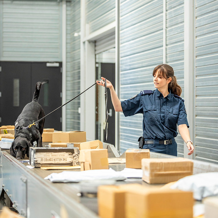 Part of Amy's role involves checking parcels that are sent in the post.