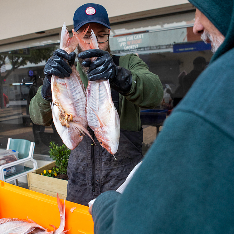  During summer, The Kai Ika project is supplied by both recreational and commercial fishers. Photo by Nicola Edmonds.