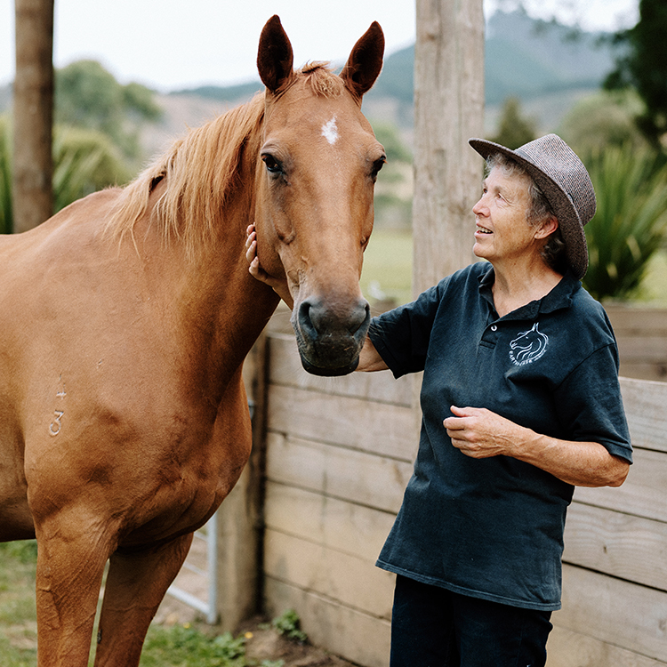  Sue Court working with one of her therapy horses. Photo by Ruth Gilmore.