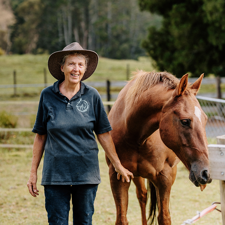 Working with horses has been a life changing career for Sue Court. Photo by Ruth Gilmore.