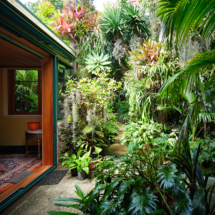 The urban jungle cultivated by Mark Van Kaathoven is a world away from its city setting