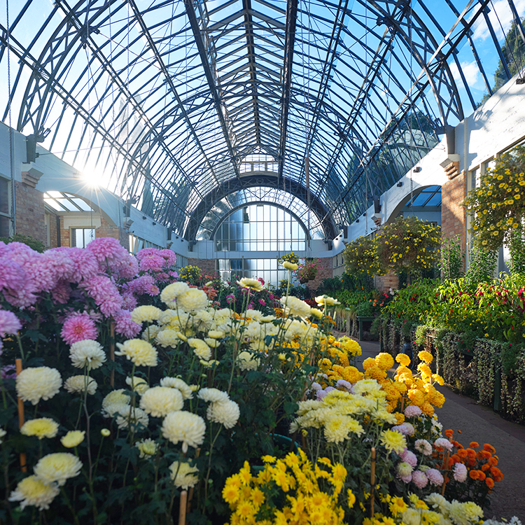 The temperate glasshouse is designed to reflect what can be grown in Auckland gardens in various seasons, albeit under shelter. Photo by Mark Smith.