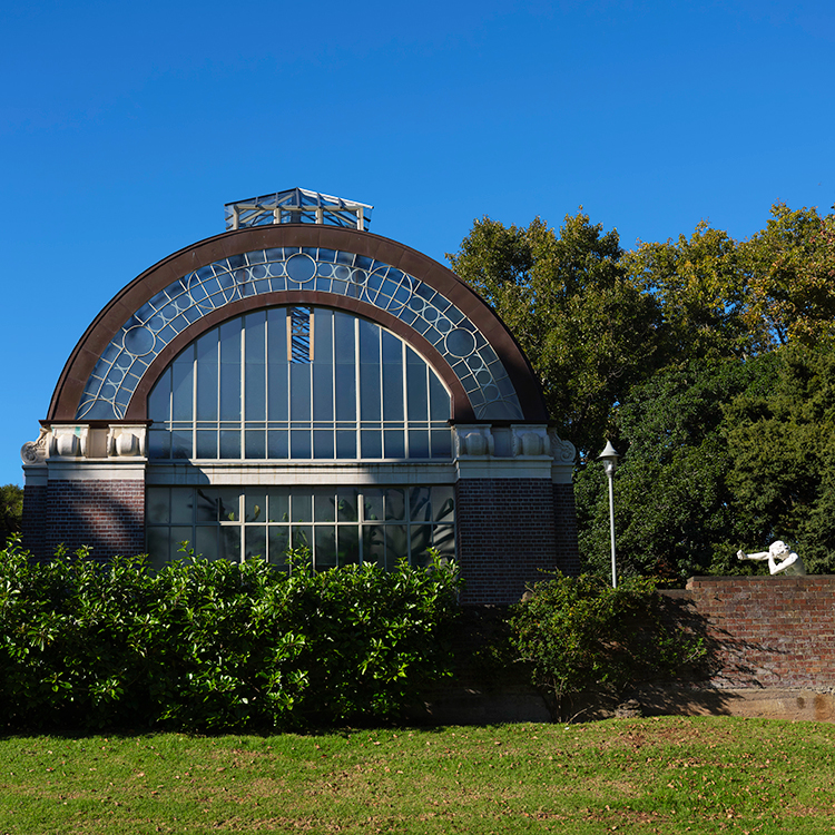 The historic glasshouses of the Auckland Wintergardens have recently been restored. Photo by Mark Smith.