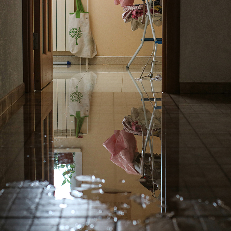 A puddle on the floor that has spilled out across different rooms.