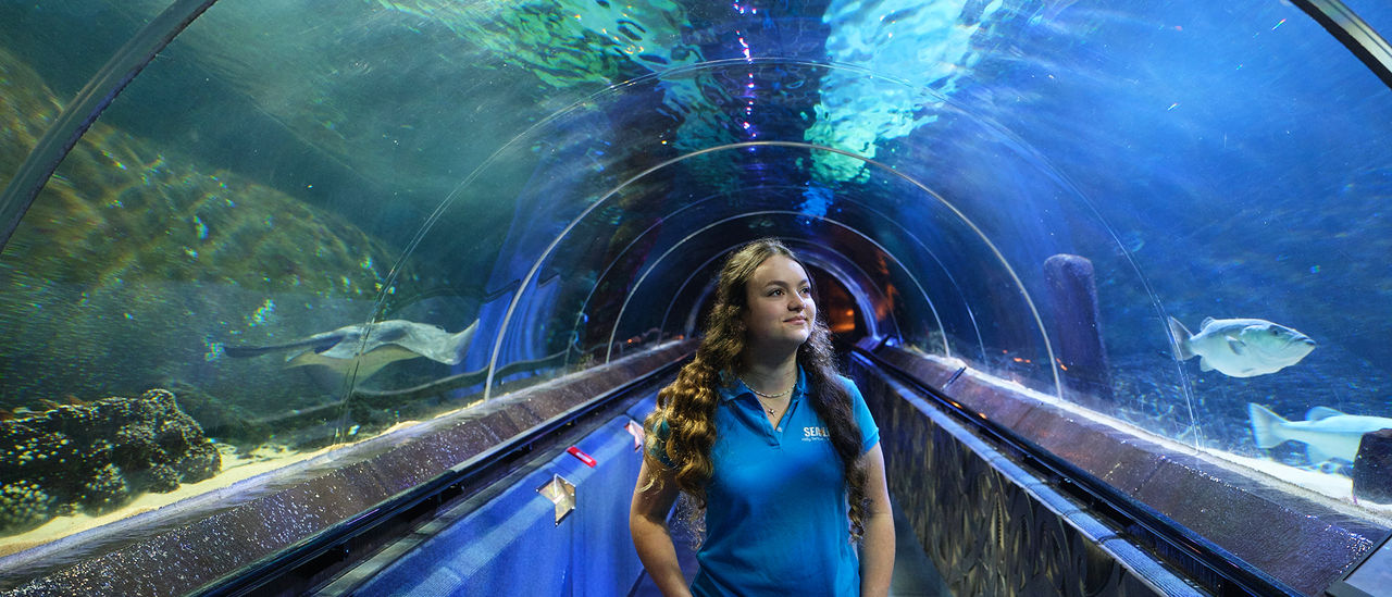 Kelly Tarlton's aquarist