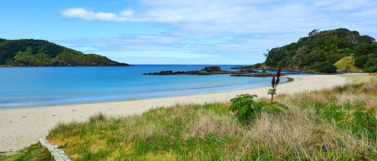 Road trip: Auckland to Matai Bay