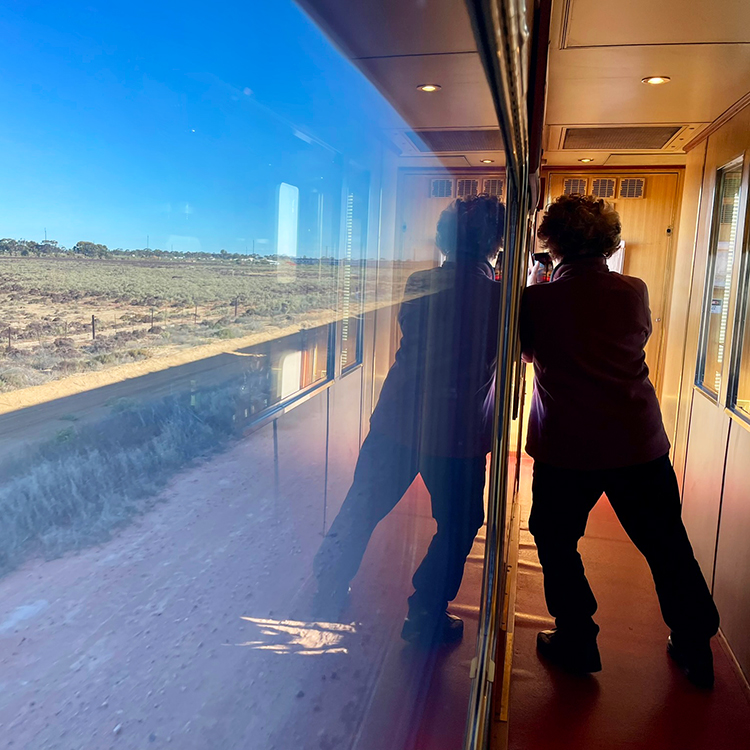 Taking in the views from The Ghan.