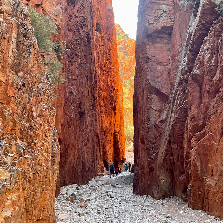 Standley Chasm, near Alice Springs, is a geological marvel. Photo by Jo Percival.