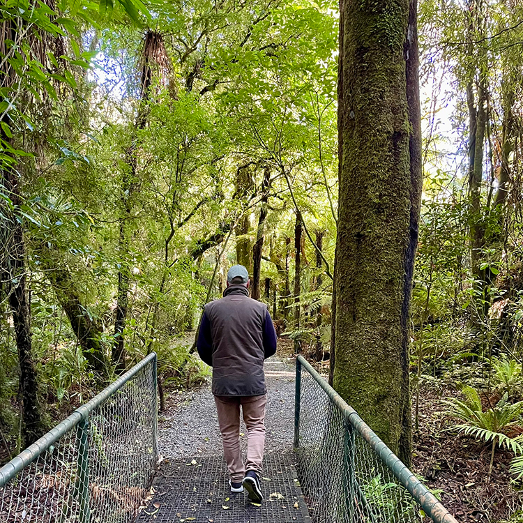 Exploring the native bush at Pūkaha National Wildlife Centre. Photo by Jo Percival.
