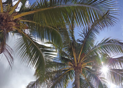 Hawaii INP1